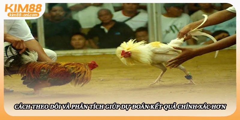 Cách theo dõi và phân tích giúp dự đoán kết quả chính xác hơn