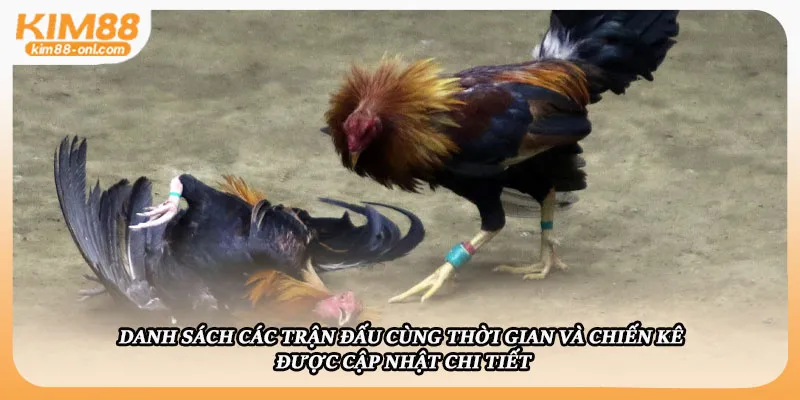 Danh sách các trận đấu cùng thời gian và chiến kê được cập nhật chi tiết