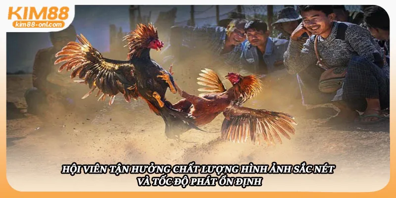 Hội viên tận hưởng chất lượng hình ảnh sắc nét và tốc độ phát ổn định