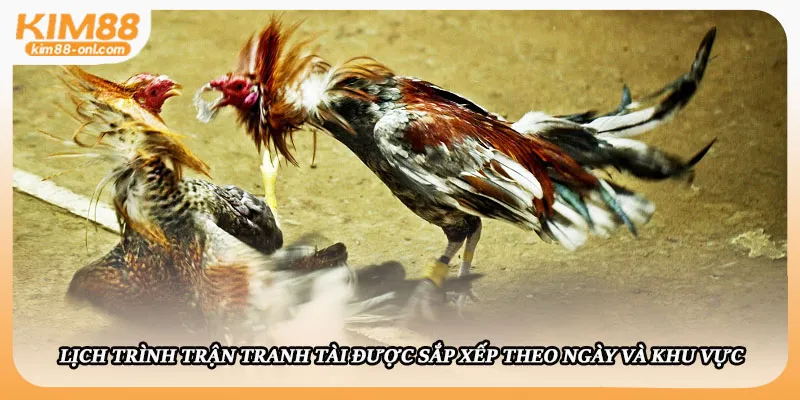 Lịch trình trận tranh tài được sắp xếp theo ngày và khu vực